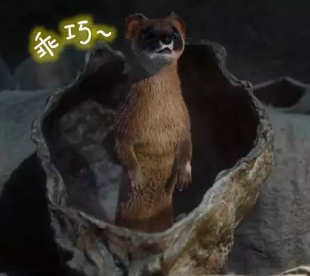 66.webp